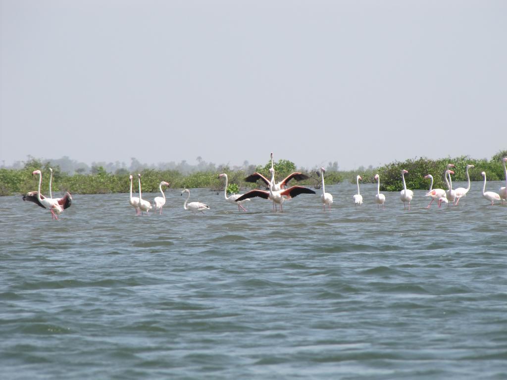 Mar Lodj Bazouk Du Saloum Ecolodge מראה חיצוני תמונה